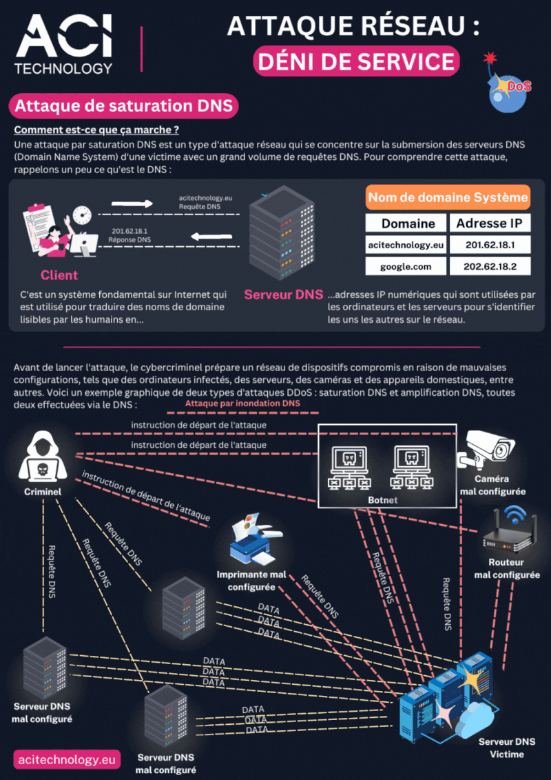 Attaque Réseau : Déni de Service par Saturation DNS