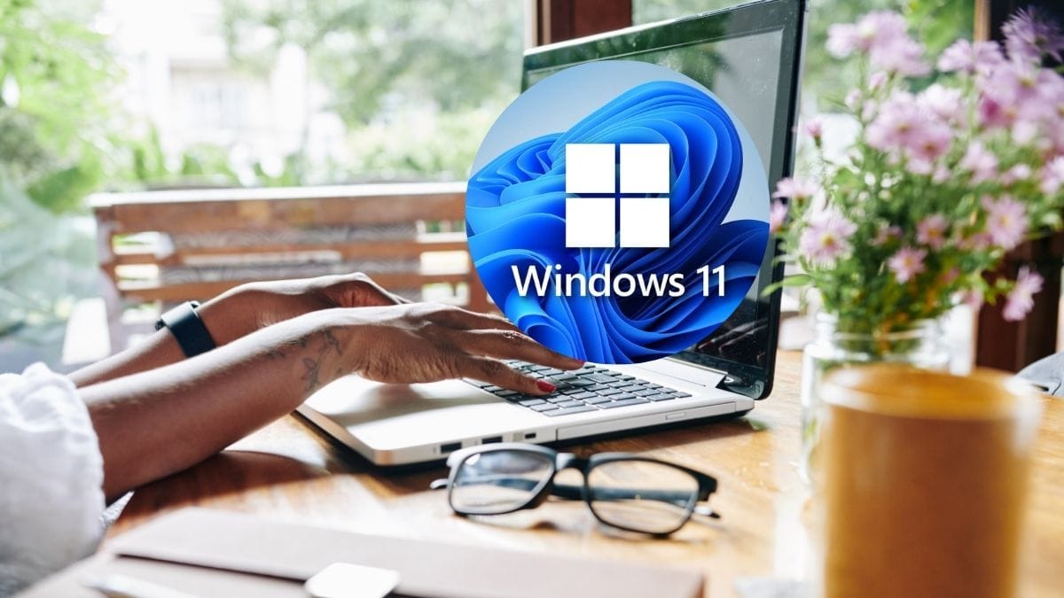 windows 11